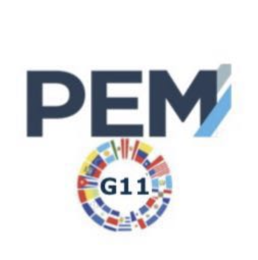 PEM LATAM G11 Online